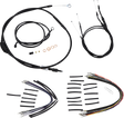 06101919_0.png