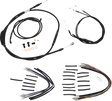 06101921_0.png