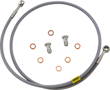 06610066_0.png