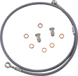 06610075_0.png