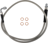 06610089_1.png