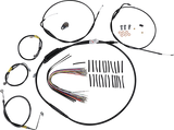 06620578_0.png