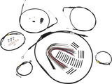 06620579_0.png