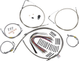 06620581_0.png
