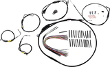 06620582_0.png