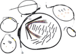 06620583_0.png