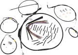 06620583_0.png