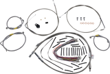 06620585_1.png