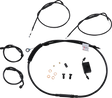 06620586_0.png