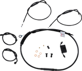 06620586_0.png