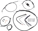 06620589_0.png