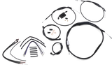 06620590_1.png