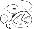 06620592_0.png
