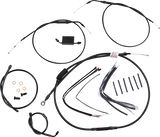 06620592_0.png