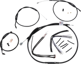 06620594_0.png