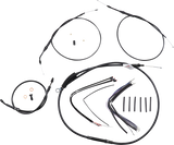 06620595_0.png