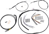 06620597_0.png