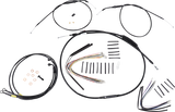 06620599_0.png