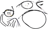 06620609_0.png