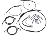 06620616_0.png
