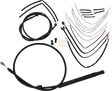 06620730_0.png