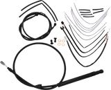 06620730_0.png