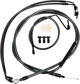 06620833_1.png