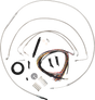 06620840_0.png