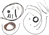 06620842_0.png