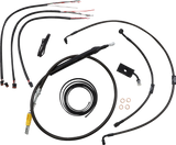06620845_0.png