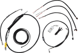 06620847_0.png