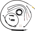 06620848_0.png