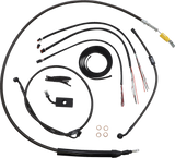 06620848_0.png