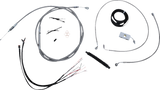 06620849_0.png