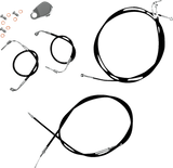 06620859_0.png
