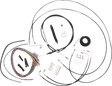 06620871_0.png
