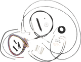 06620871_0.png
