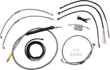 06620876_0.png