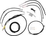 06620877_0.png
