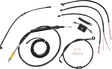 06620878_0.png
