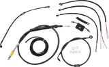 06620878_0.png