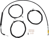 06620886_0.png