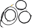 06620889_0.png
