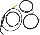 06620889_0.png