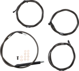06620890_0.png