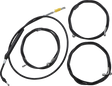 06620892_0.png