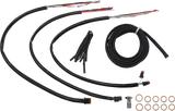 06620898_1.png