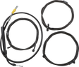 06620899_0.png