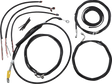 06620901_0.png