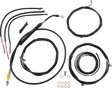 06620904_0.png